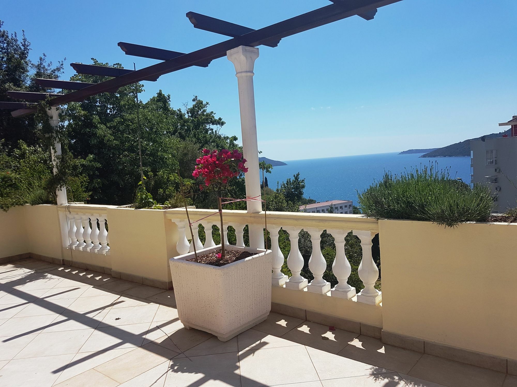 Apartments Herceg Novi Eksteriør billede