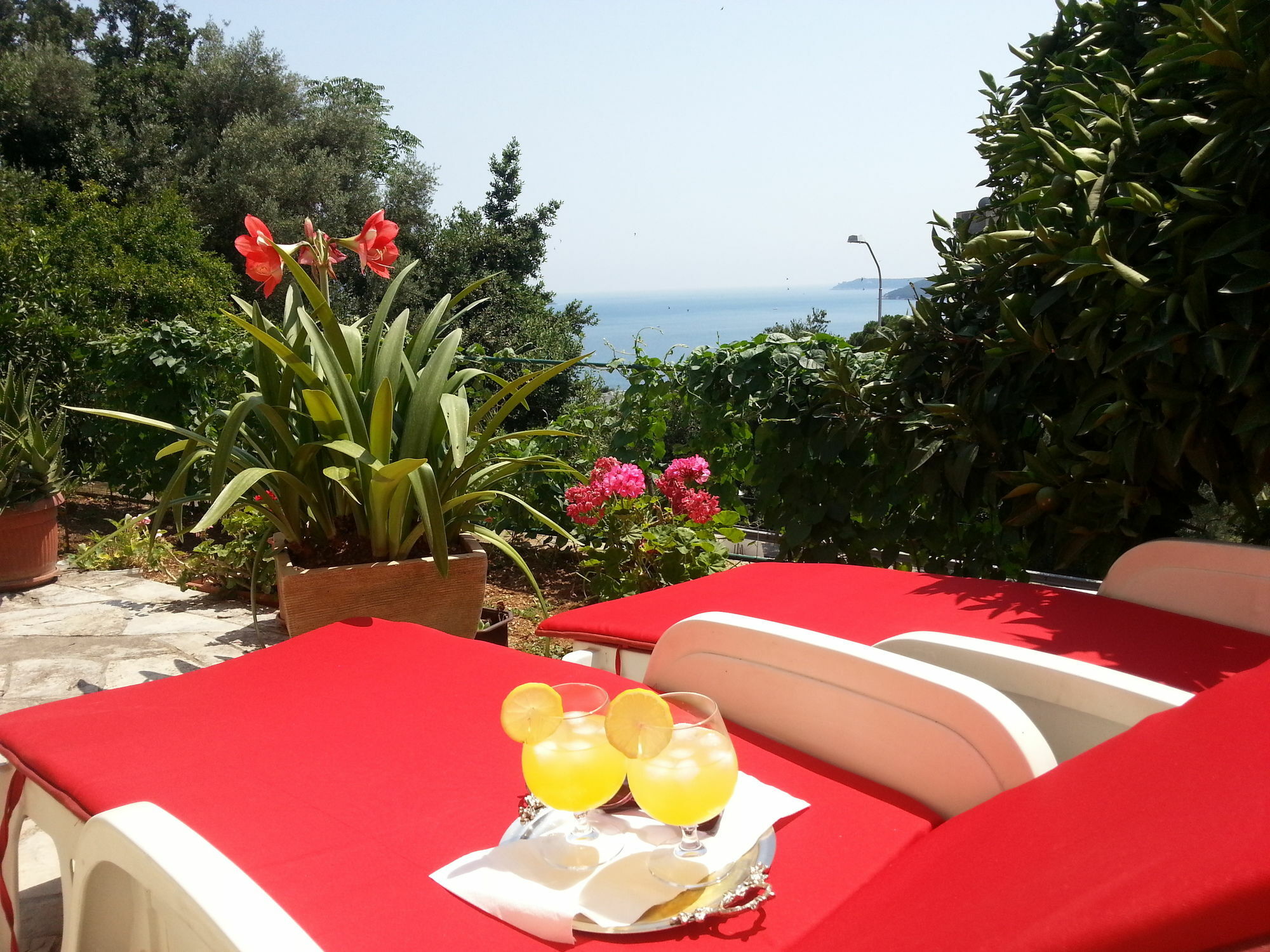 Apartments Herceg Novi Eksteriør billede